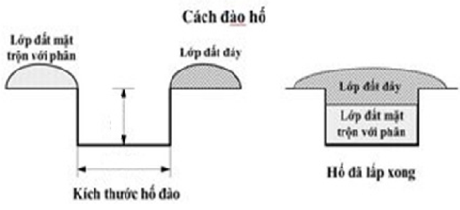 cách đào hố_1668416483.png